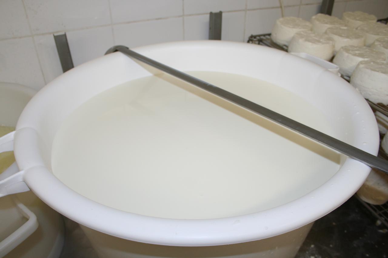 Bassine de lait