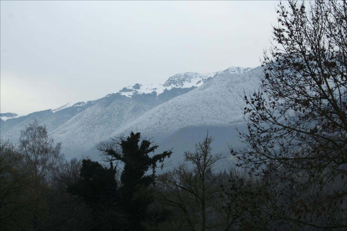 L'hiver en chèvrerie