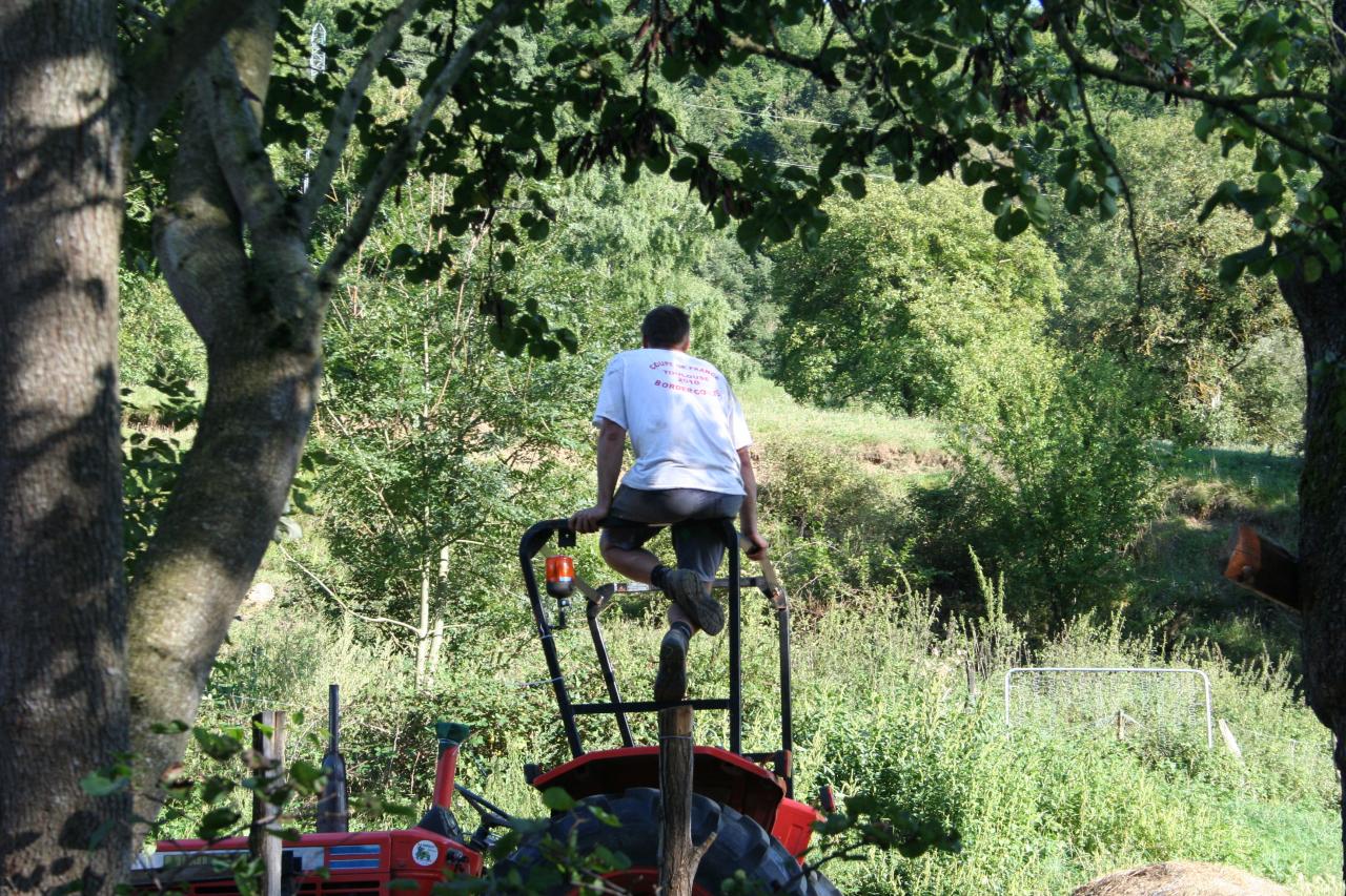 Le chevrier dirige le chien