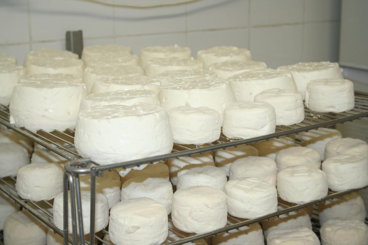 Ressuyage des fromages lactiques