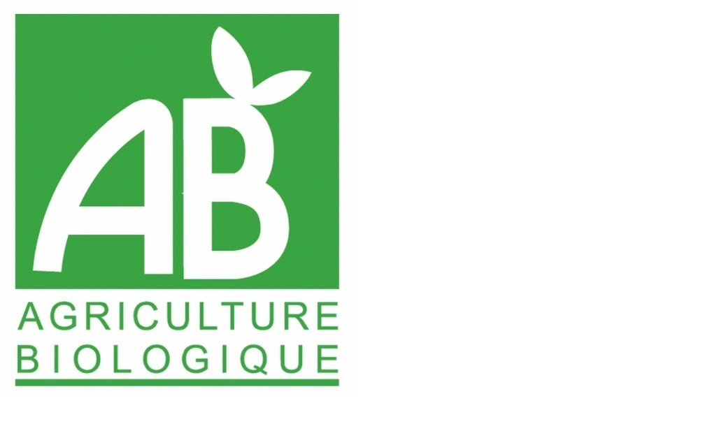 Logo ab 1